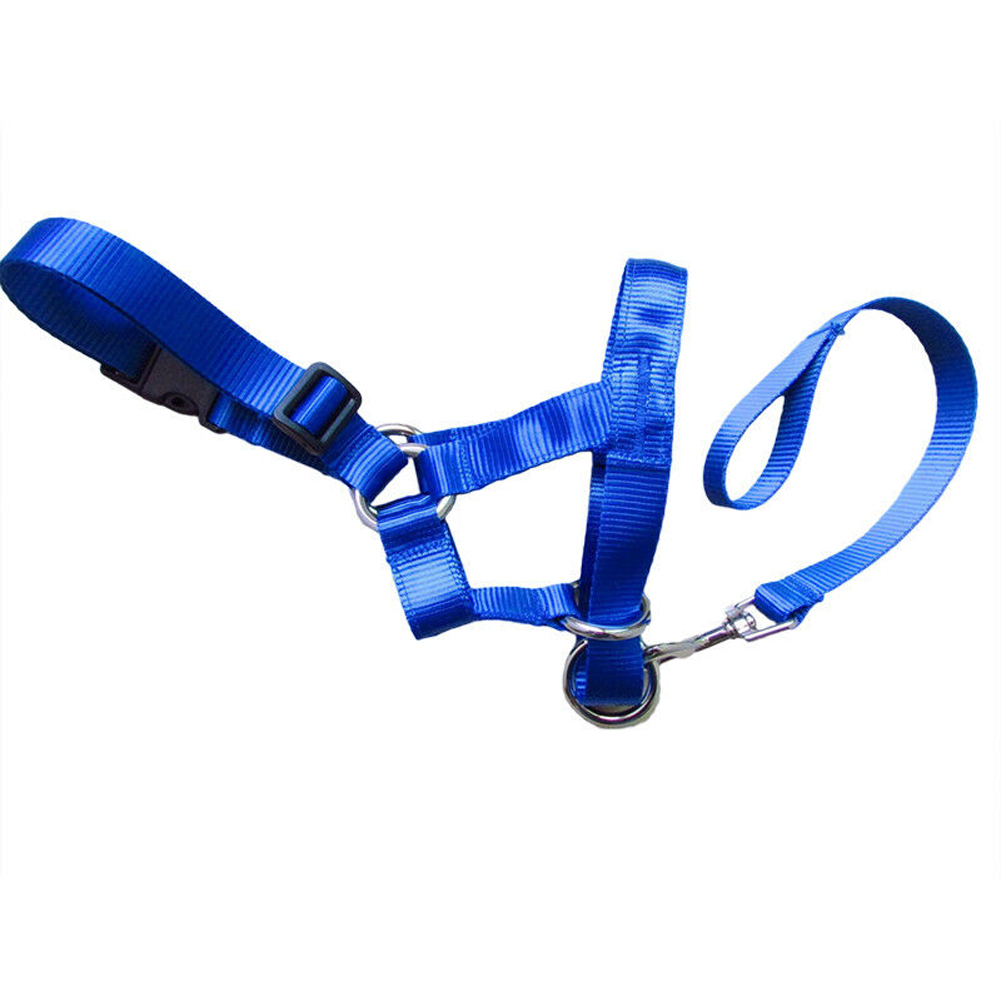 Creative Dog Halter Halti Training Head Collar Gentle Leader Harness