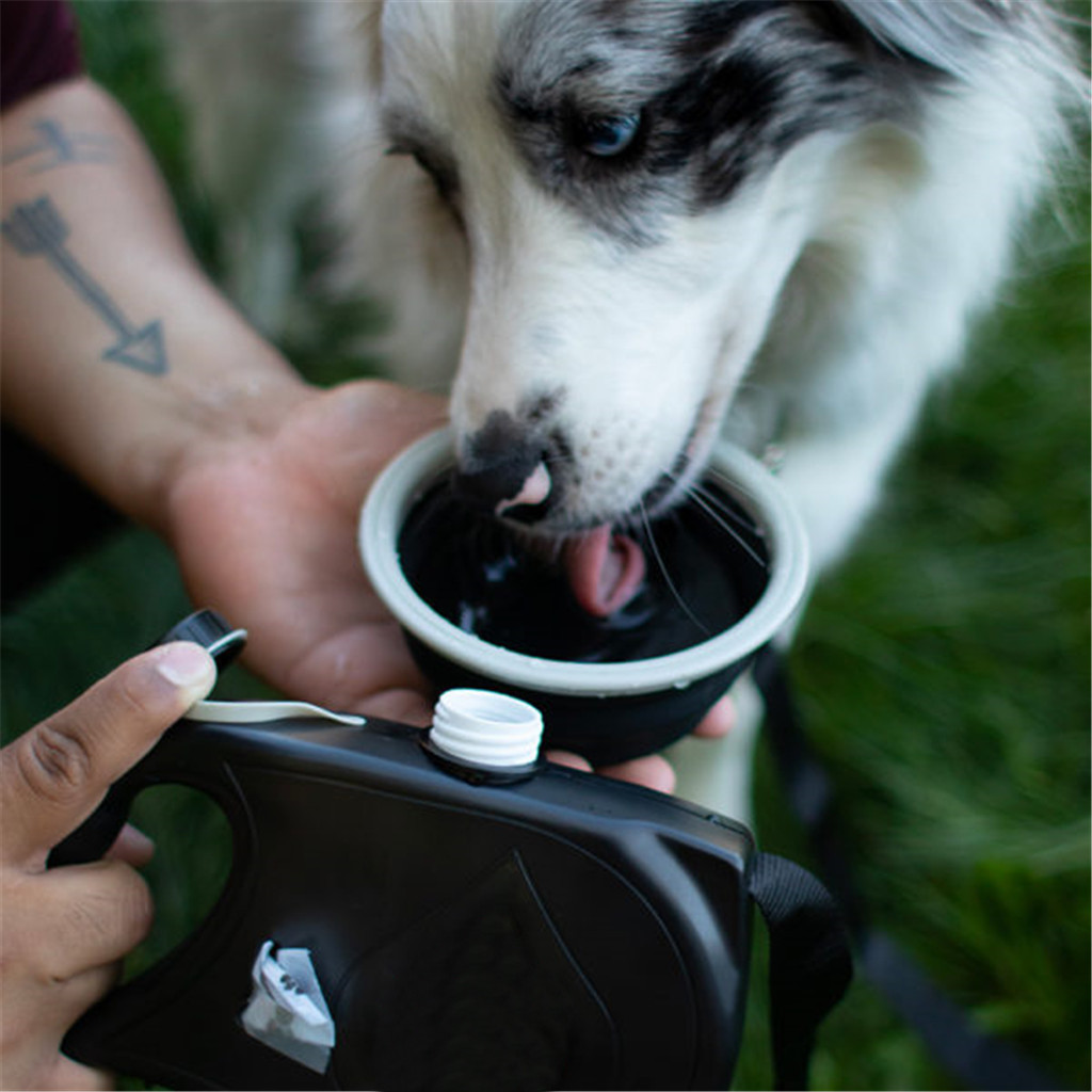 ** Ultimate Guide to Choosing the Best Dog Travel Water Bottle for Your Adventures