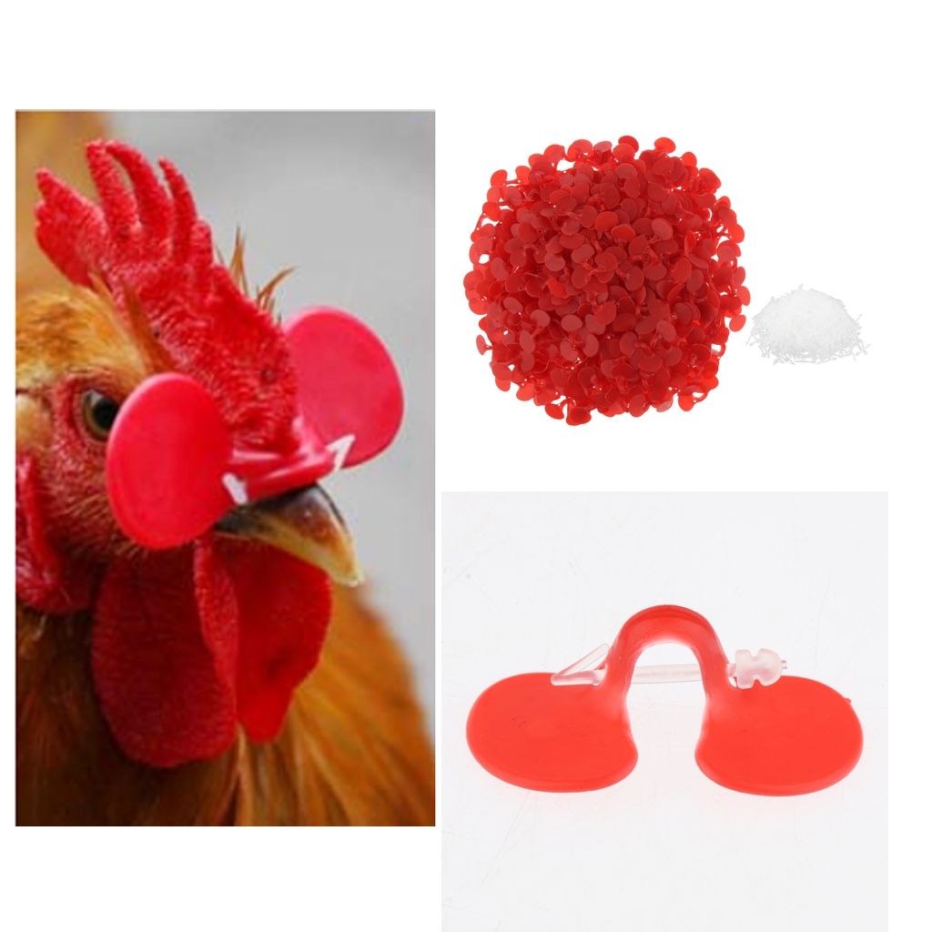 Details about   Chicken-shaped Eyeglasses 500 Pieces Chicken Blinders Glasses Anti-pecking Farm 