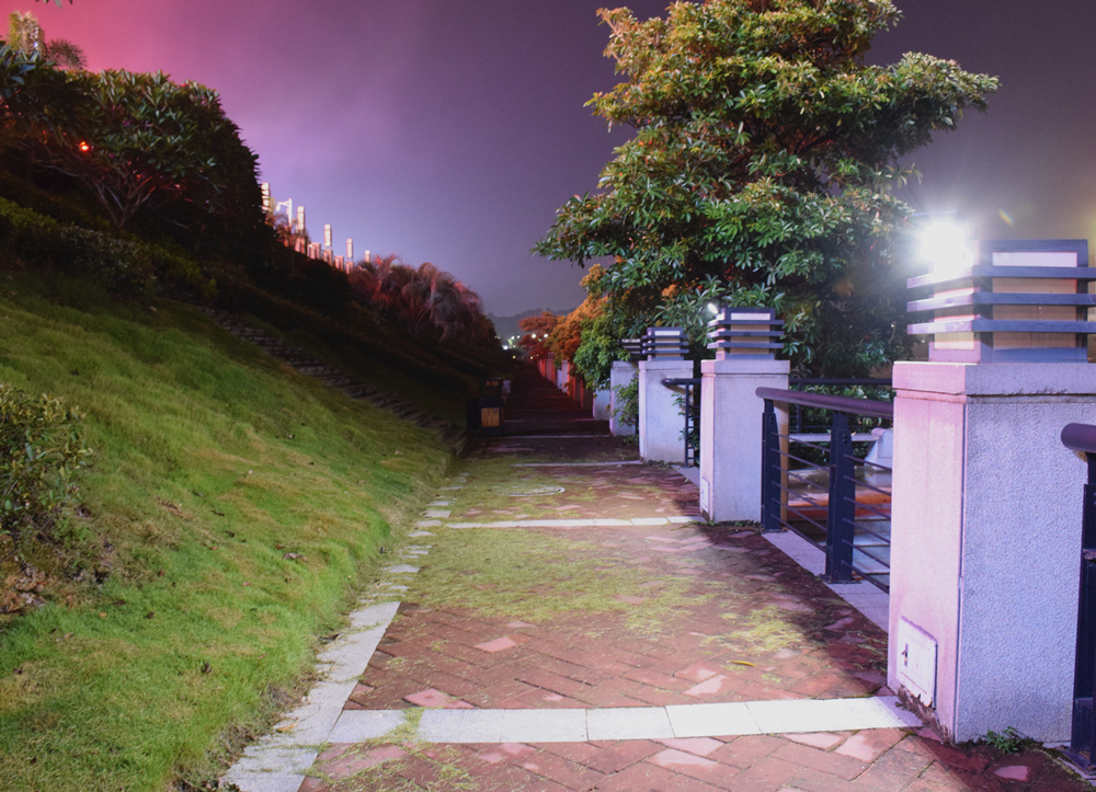 Luz Solar LED con Panel Solar Separable, reflector de cable de 16 pies