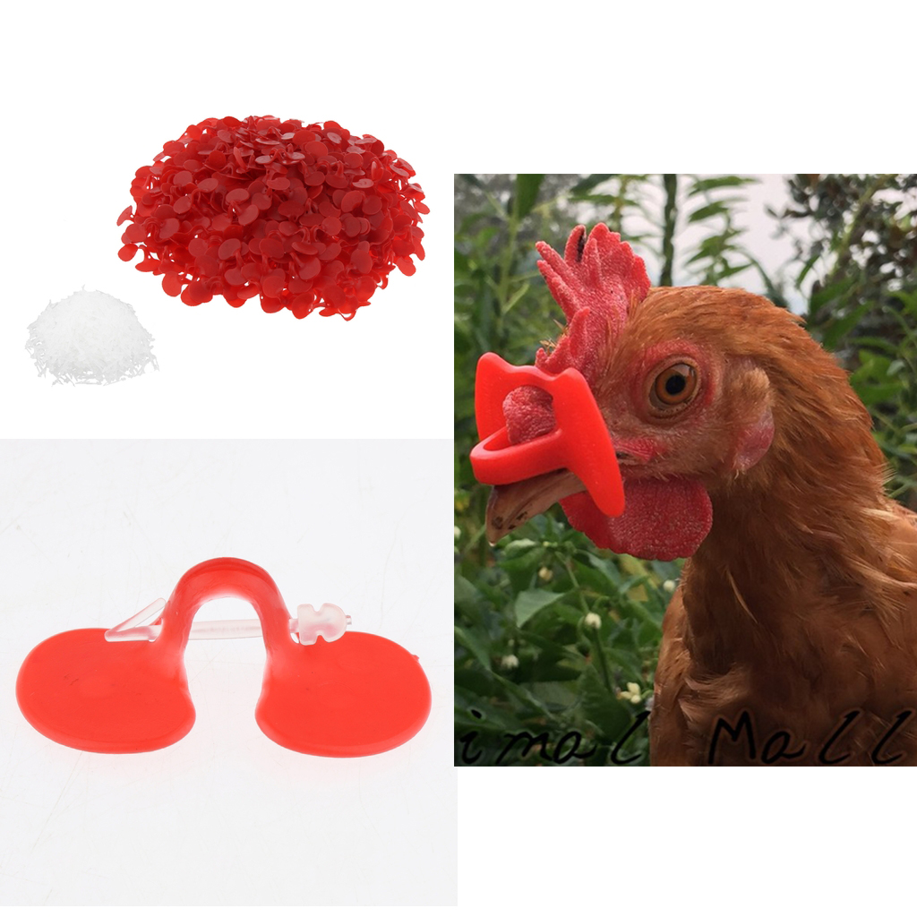 Details about   Chicken-shaped Eyeglasses 500 Pieces Chicken Blinders Glasses Anti-pecking Farm 