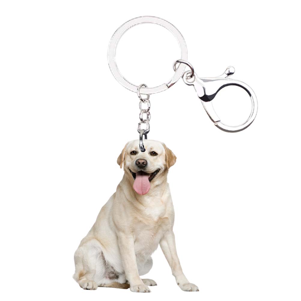 Details about   Black Lab Retriever Key Chain Mini Painting Dog Frame New Labrador Woofhol 
