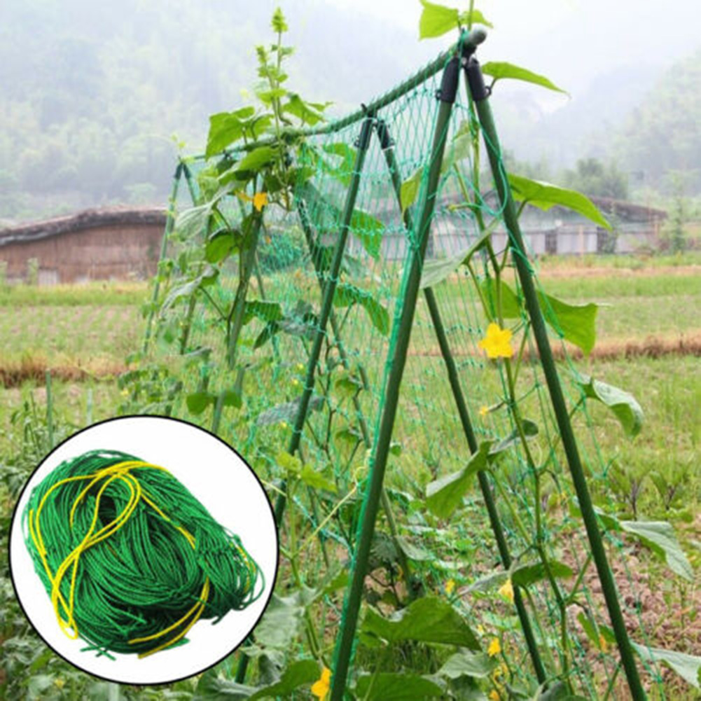 Plant Support Netting Climbing Mesh Plastic Garden Vegetable Pea & Bean 2m x 10m 