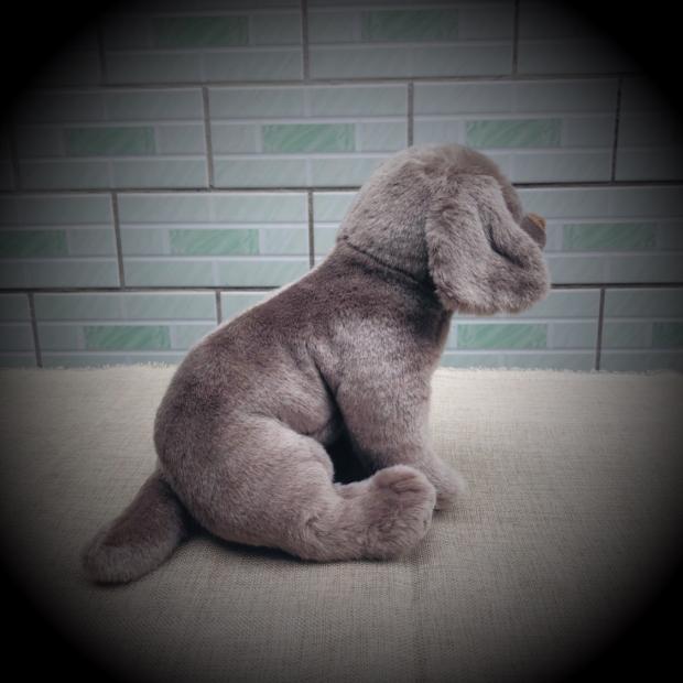 weimaraner peluche