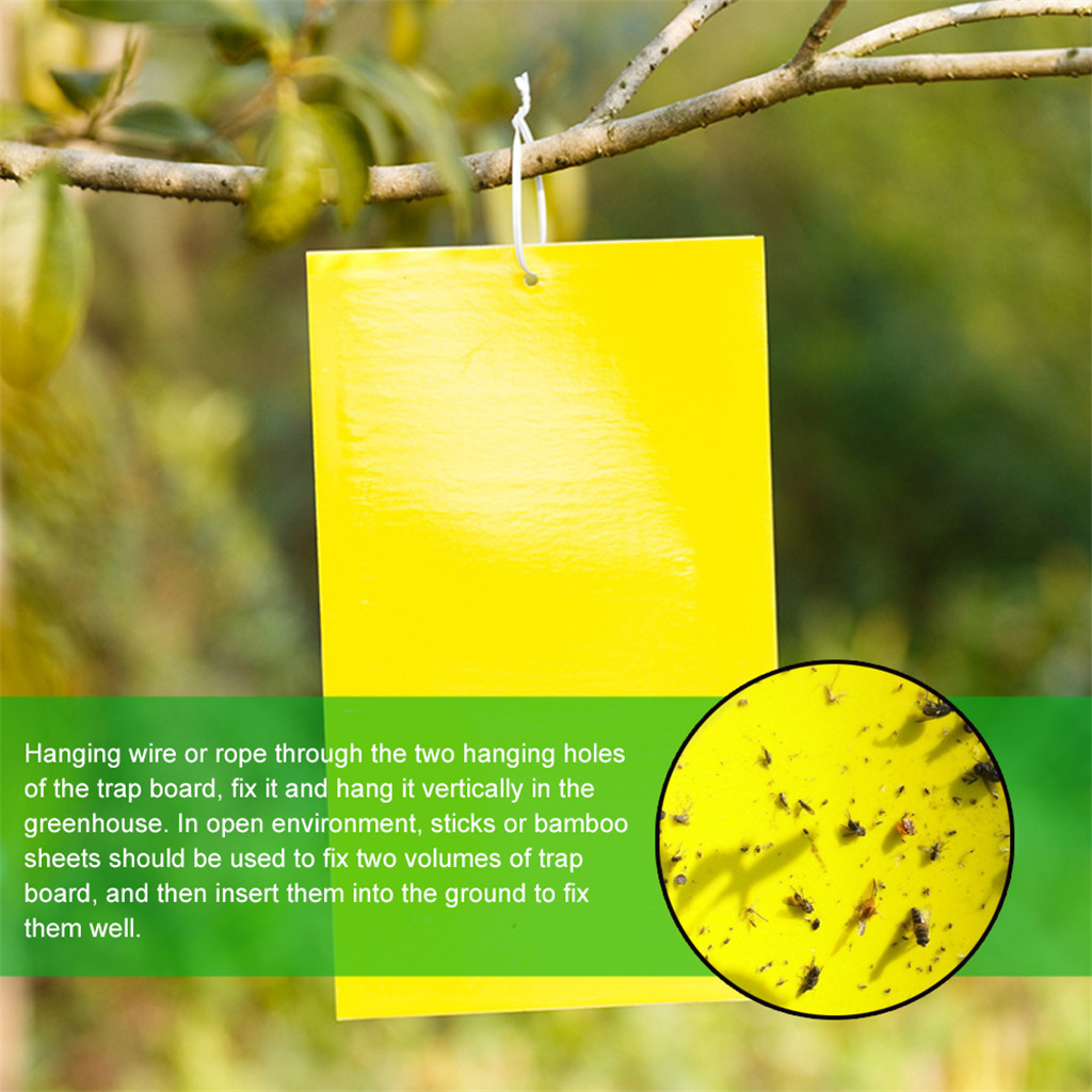 Details about   Hanging Yellow Sticky Gardening Supplies Recycle Pest Control Fruit Fly Trap 