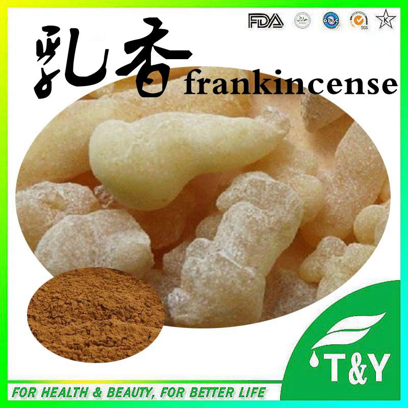 hot selling high quality indian frankincense/pure frankincense oil/frankincense extract