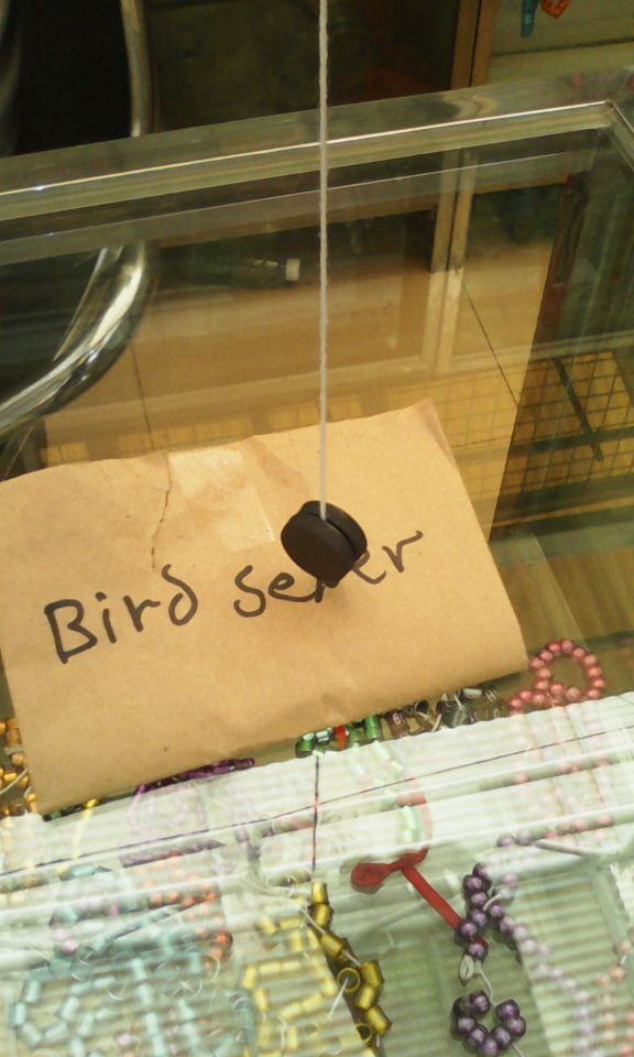    bird sexer,   20 .