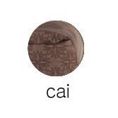 cai