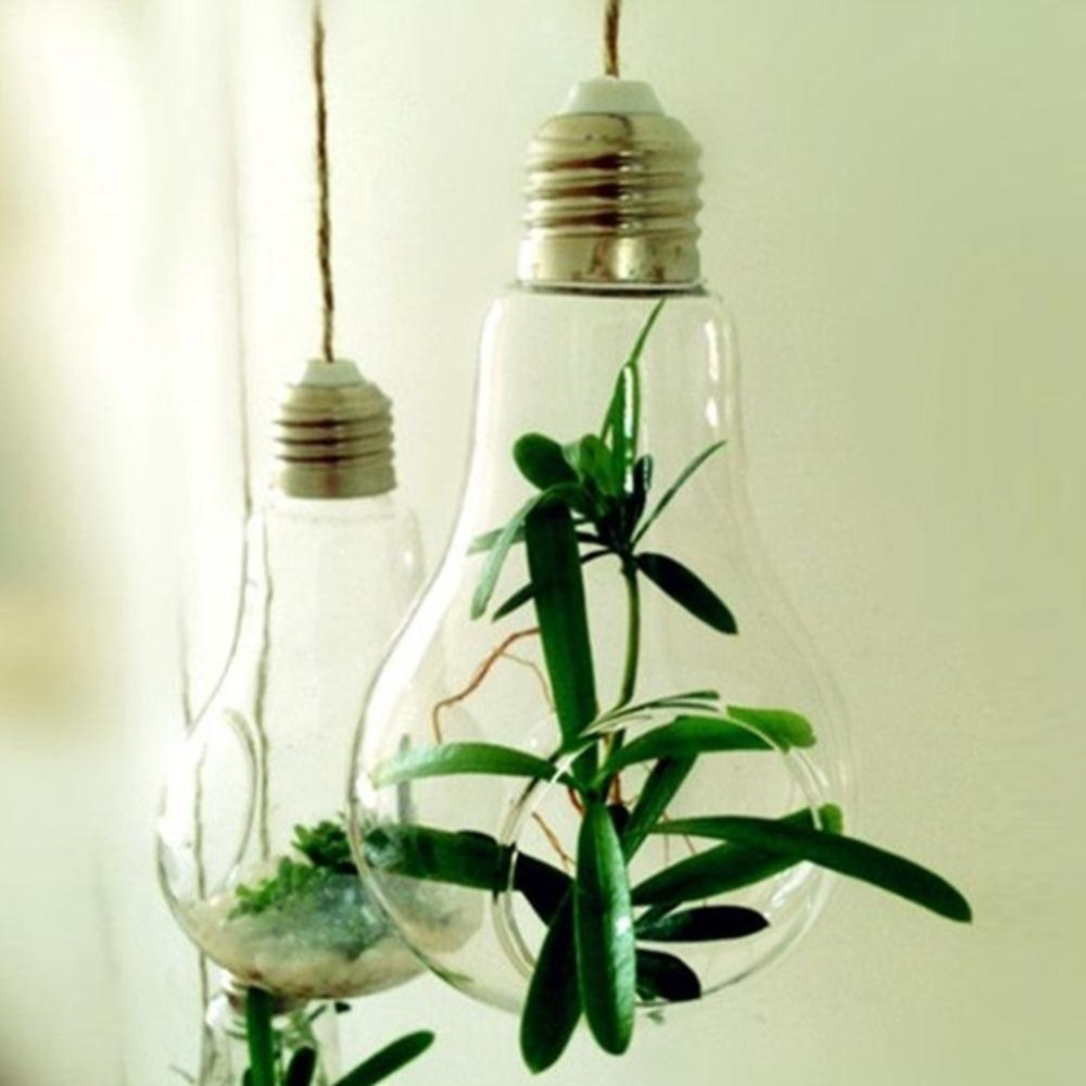 Image of New Glass Bulb Lamp Shape Flower Water Plant Hanging Vase Container Home Indoor Office Wedding Decor Free Shipping