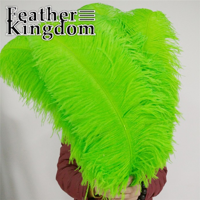 50-55cm apple green ostrich feather