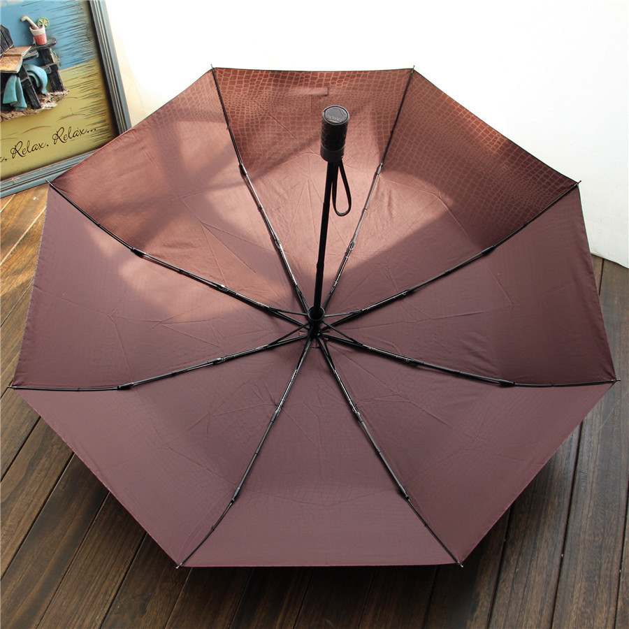 Umbrella paraguas parapluie13.jpg