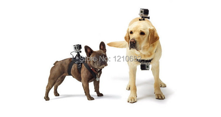 Fig. Image for content