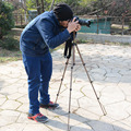 WEIFENG WT3130 photo dslr phone digital video mini camera tripod professional stand universal travel tripod