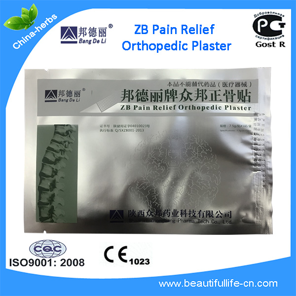 Image of 6 Pcs ZB Pain relief orthopedic plasters,Pain relief plaster medical Muscle aches pain,relief patch muscular fatigue,Arthritis