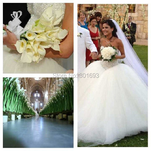 Ball gown wedding dress veil