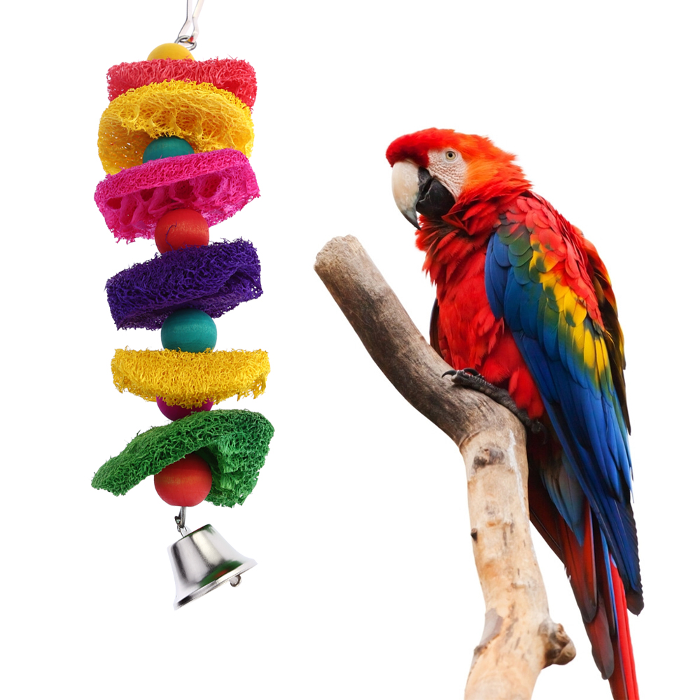 Papegaaien speelgoed        Conure       
