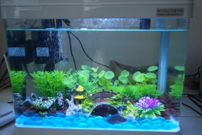 Fish tank free shipping To keep shipping FREE and livestock prices Low. We ship out orders on Wednesday of every week to arrival on Thursday. We only use FedEx Overnight Priority as a method for shipping on LiveStock Packages. Care and Packaging: Our primary concern is the health and safety of your fish.