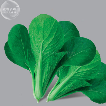 BELLFARM Chinese Cabbage Bean Pea Vegetable Seeds, organic tasty easy to grow vegetables 21 types for your choice E4195