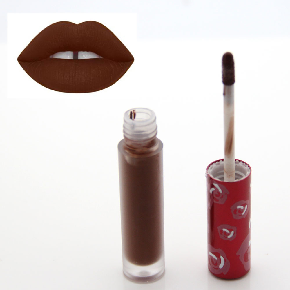 Image of 1Pcs 2016 New Matte SALEM Color Waterproof Lip Gloss Long Lasting Liquid Lipstick Stick Lip Balm Makeup for lips Women Beauty