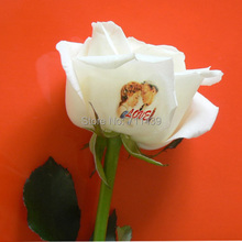 Christmas flower printing machine christmas rose printer speaking flowers