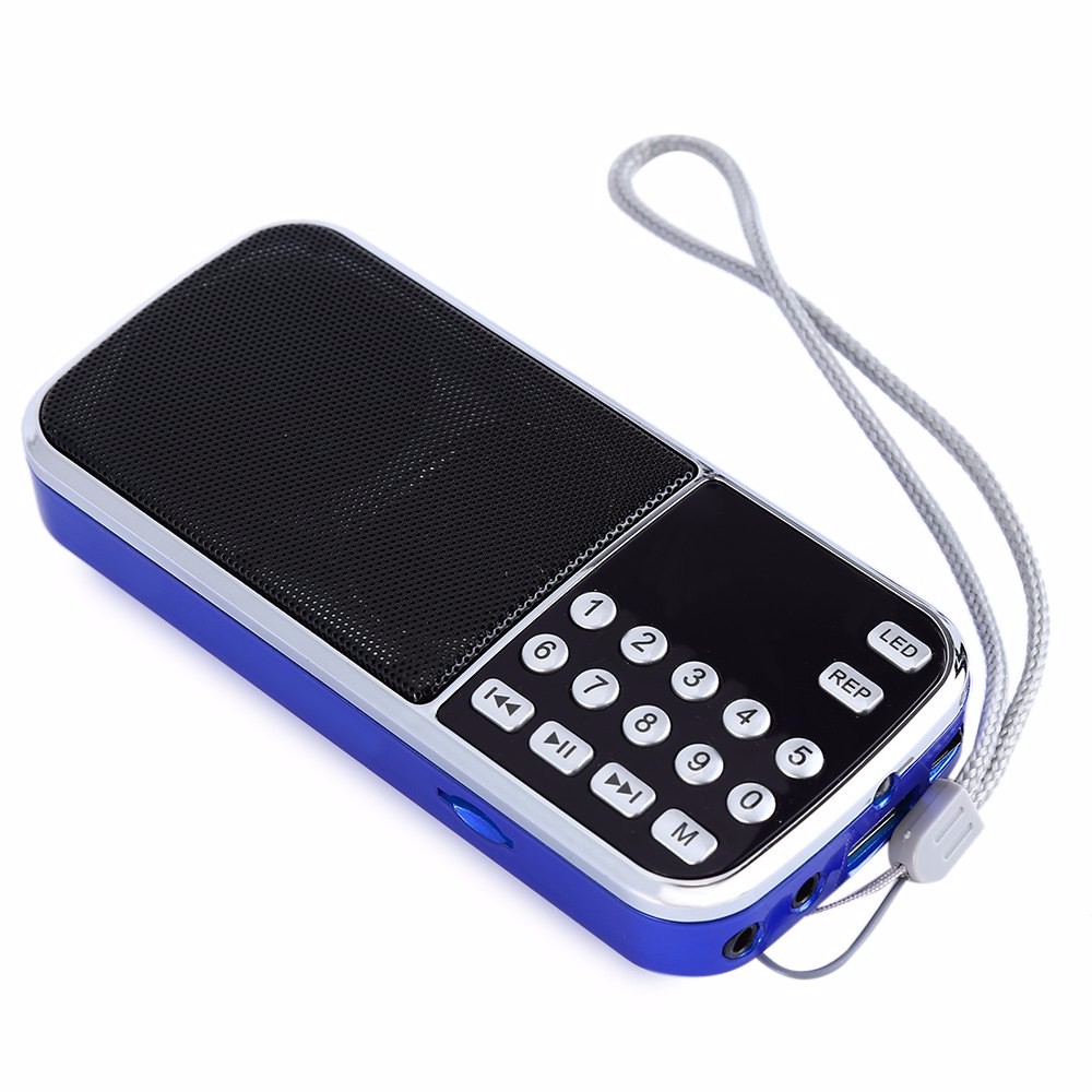 1450647383342-P-3621785