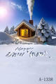 10t x 10ft 3 x3M christmas vinyl photo backdrop Photography backdrop A 1338 Happy New Year