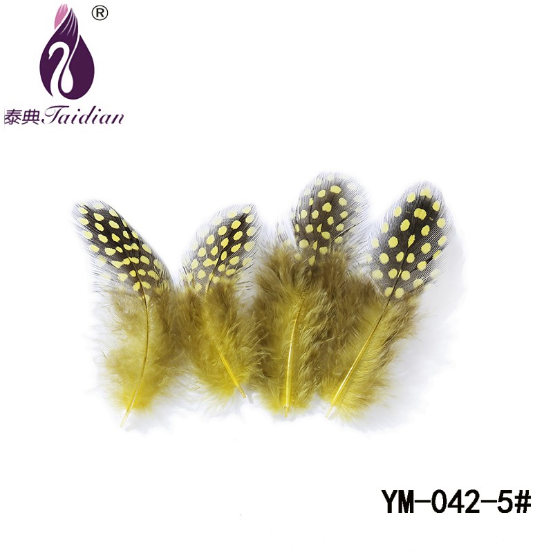 YM-042-5# Guinea pearl Fowl Feather