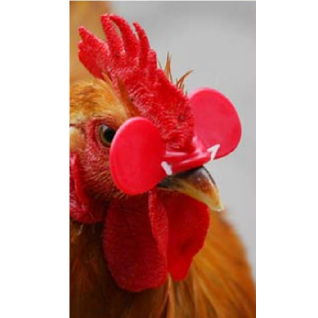 1000 Pairs Red Poultry 1-2.25kg Hen Chicken Eye Glasses Blinders w/ Pins 