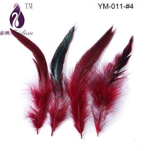 Rooster feather-4