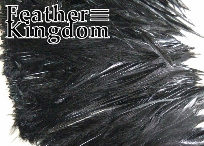 black rooster feather 6-700