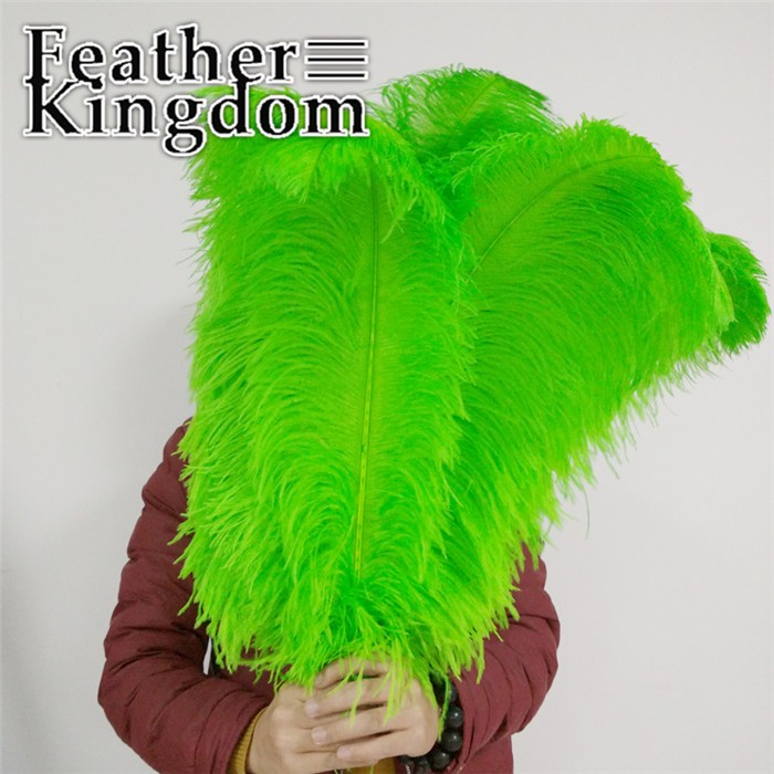 50-55cm apple green ostrich feather 1