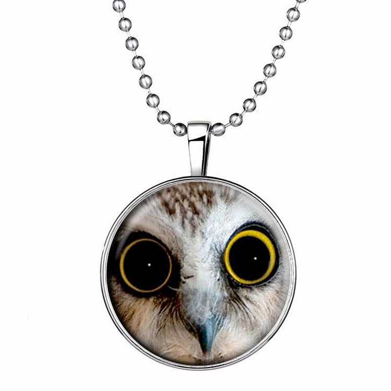   -        Owl  # 1785435