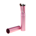 Brand Small 5Pcs set Makeup Brushes Sets Gift Cosmetics Tools Eyeshadow Foundation Cosmetic Makeup Brush Blush