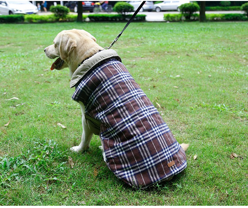 large dog clothes (7)