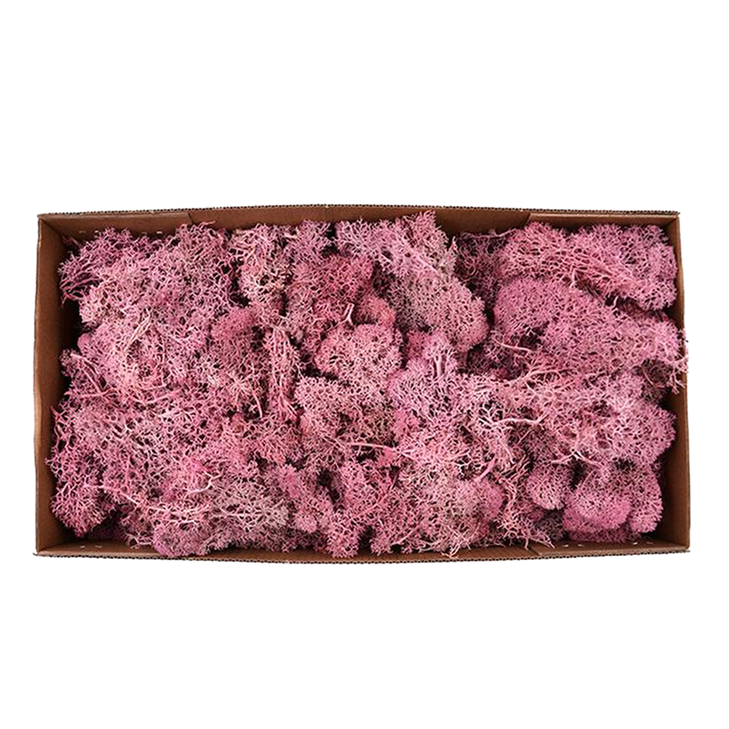 ful Artificial Moss Plant DIY Dried Reindeer Moss Floral Crafts Flowers For Plant Pot Garden