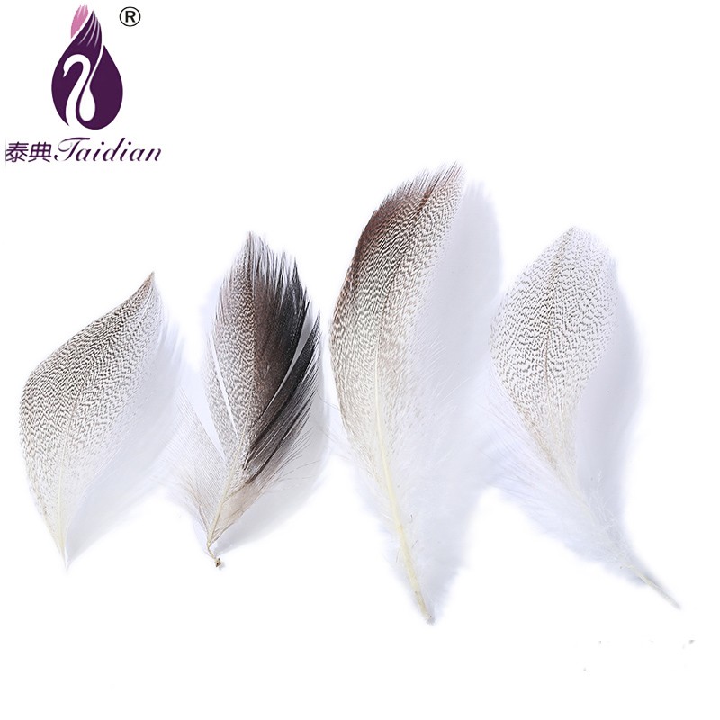 YM-022 Natural Feather pheasant white 7-15cm length chicken plumes