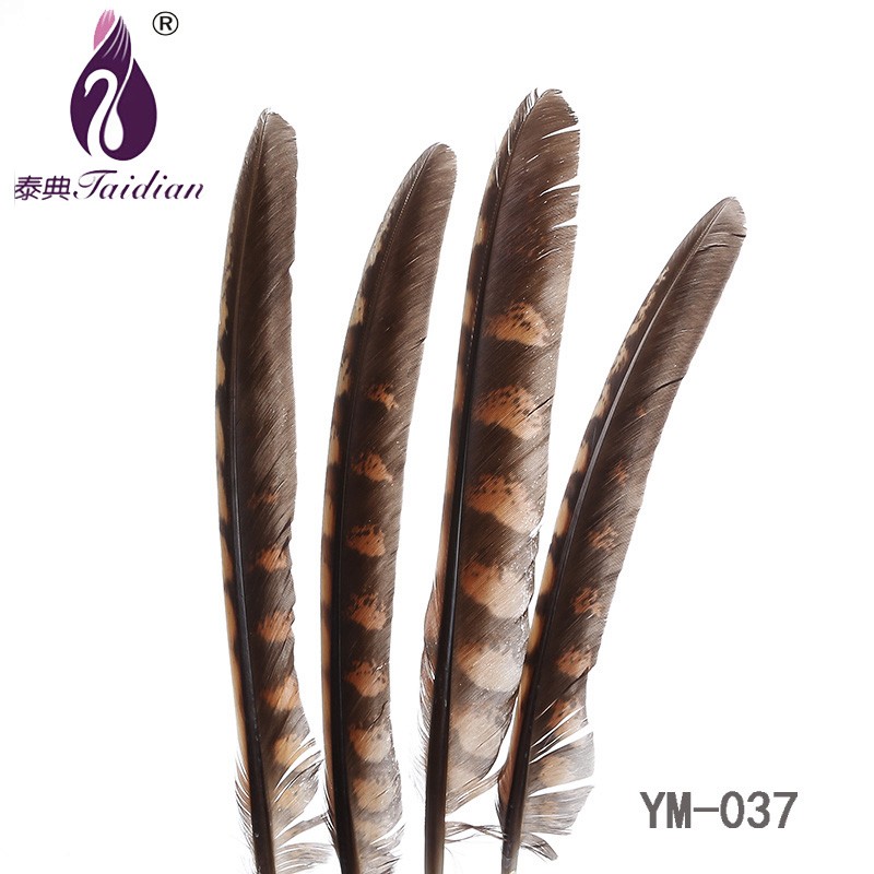 YM-037 Natural Feathers 17-25cm