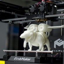 EcubMaker FANTASY STABLE FUNCTIONAL 3D PRINTER