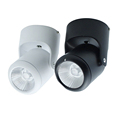 10W COB Led Downlights 180 degree Rotation Surface Mounted Ceiling Spot Ceiling Downlight White Warm White