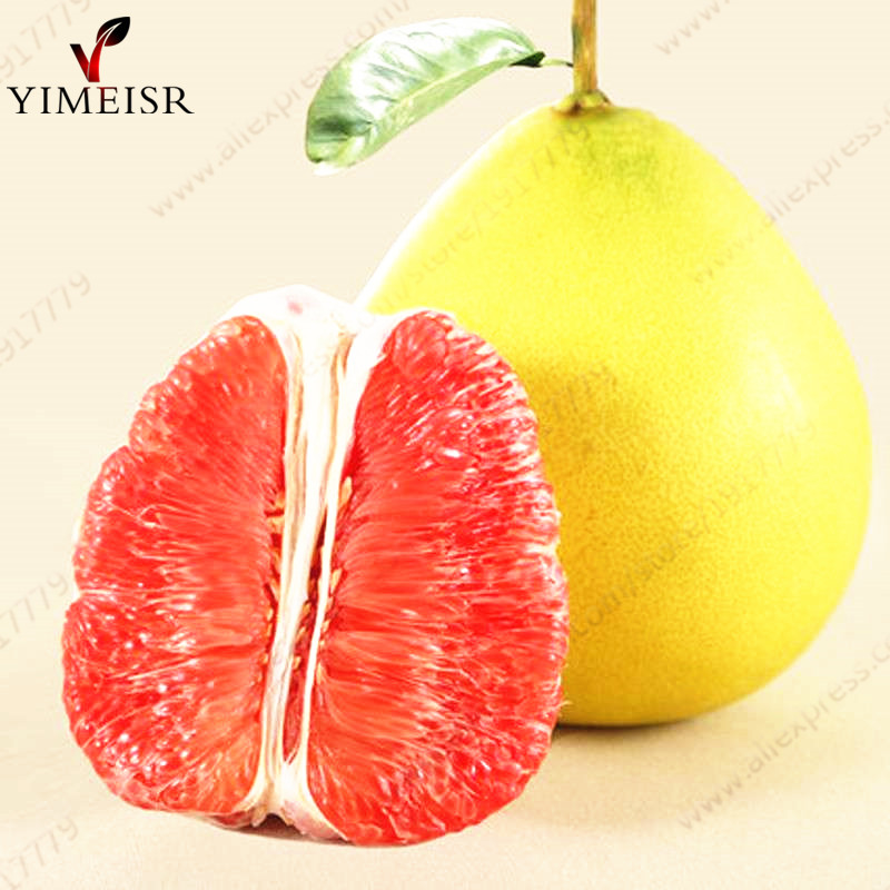 Online kopen Wholesale pomelo boom uit China pomelo boom Groothandel