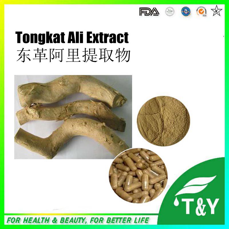 GMP Factory 100% natural eurycoma longifolia tongkat ali root extract powder 10:1 dongkat ali extract 500mg*800pcs