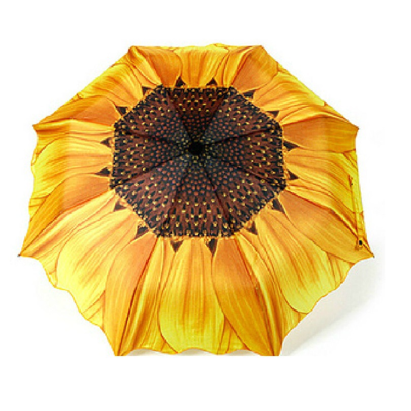Sunflower  /   ,    sombrilla  