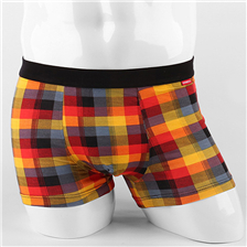 HOT Fashion plaid boxer mens underwear boxers cuecas Modal boxer men