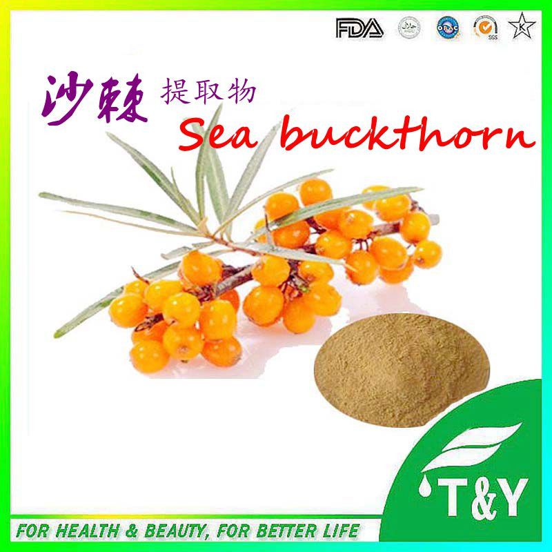 100% Natural Sea Buckthorn Extract Powder 10:1, Sea-buckthorn Extract