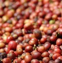 Free Shipping 500g Ethiopia green coffee beans AAA
