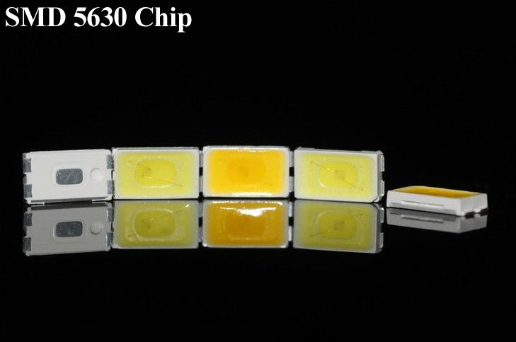 1000 bulbs coupon code