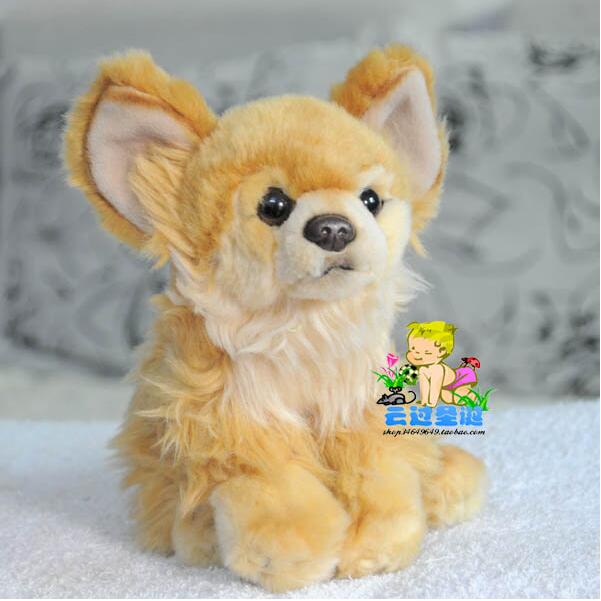 chihuahua puppies toys