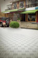 200cm*300cm(6.5ft*10ft) photography backdrops Car bush cafe photo studio LK4297