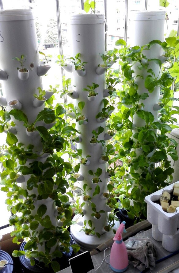 Extremely simple DIY ebb and flow hydroponics system: part ... DWC Hydroponics Vertical Tower Gardern Growing System ...