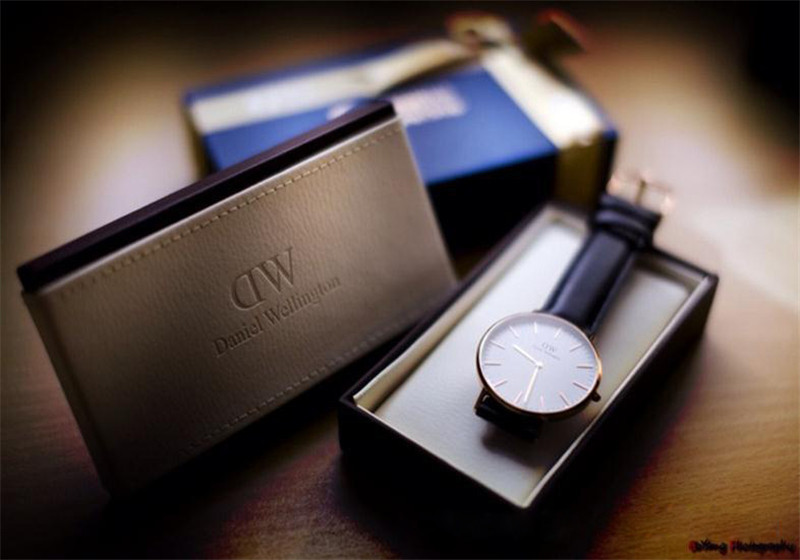 dw watch box (24)